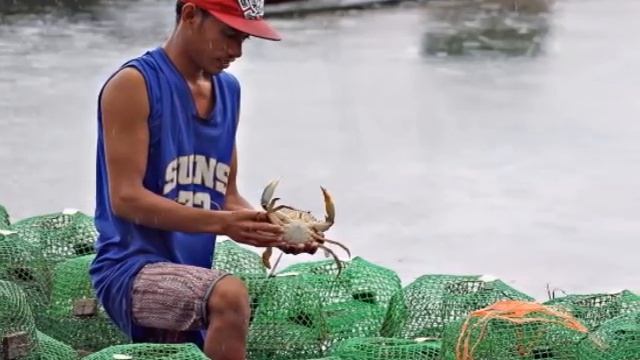 Surigao Philippines смотреть онлайн