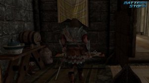 Skyrim - «Приколы, баги, фейлы и мемы»