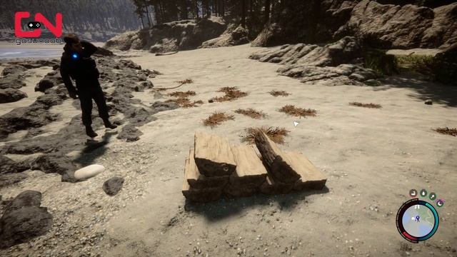 How to Get Wood From a Firewood Pile in Sons of the Forest смотреть онлайн