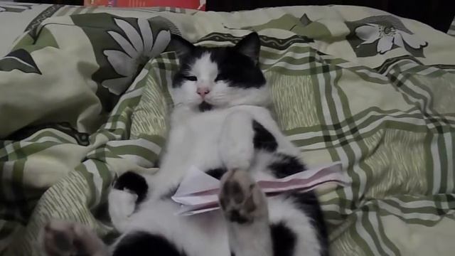 Лирический Символизм