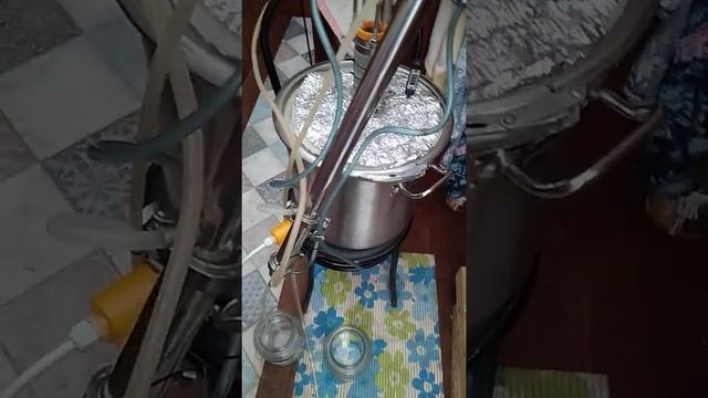 Самоизоляция на даче. Мы не скучаем. смотреть онлайн