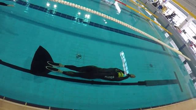 Morelli Luciano Tilikum - Oro CI maggio 2017 DYN 254.40 mt смотреть онлайн