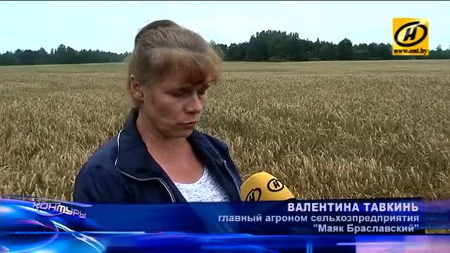 Контуры. Земля и колхозы смотреть онлайн