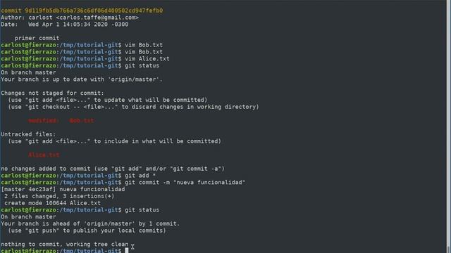 Tutorial git . Si sobreviviste al primer video. ..acá está la segunda parte смотреть онлайн