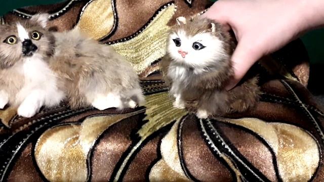 Котенок Яша научился читать. смотреть онлайн