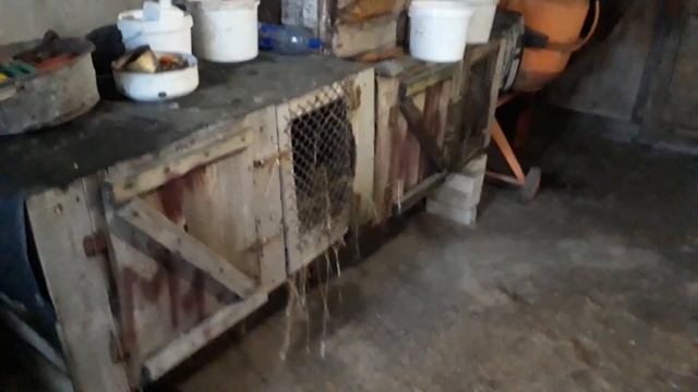 Выгодно ли ЛПХ в 2018 году? Жизнь в деревне! Моя ферма! смотреть онлайн