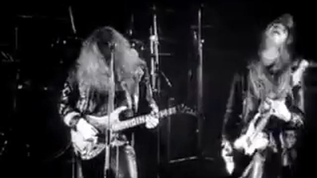 Любимые моменты с домашними питомцами