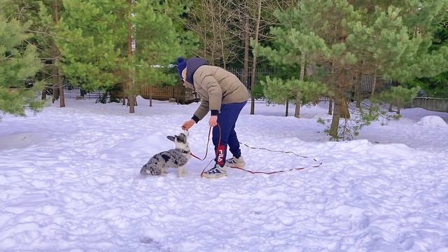 ВАЖНЫЕ СОВЕТЫ ДЛЯ ТРЕНИРОВКИ КОМАНДЫ "КО МНЕ" смотреть онлайн