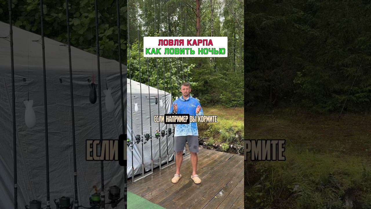 Как расположить удилища ночью? #карпфишинг смотреть онлайн