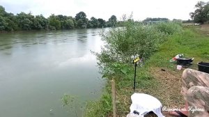 рыбалка на карася / река Кубань