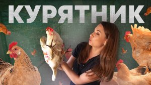 Дачники «Курятник»