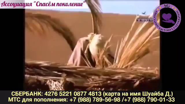 Сбор на мечеть и медресе имени Абу Бакра ас-Сыддика, да будет доволен им Аллах! смотреть онлайн