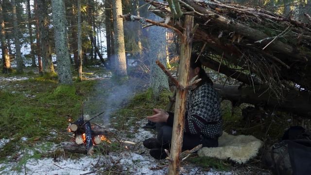 RELAX in the Winter Forest🌲Camping & Building a Survival Shelter смотреть онлайн