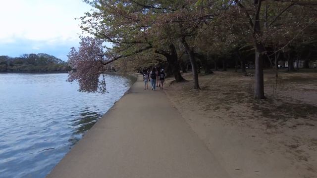 4K Walking Around Washington Monument & Tidal Basin - Washington DC Travel Video