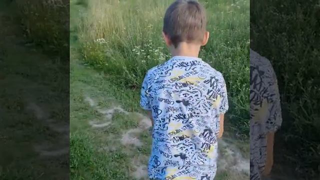 Выпускаем птенца стрижа в первый полет! смотреть онлайн