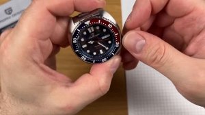 КОМУ ЧЕРЕПАХУ? Pagani Design PD-1696 - розыгрыш