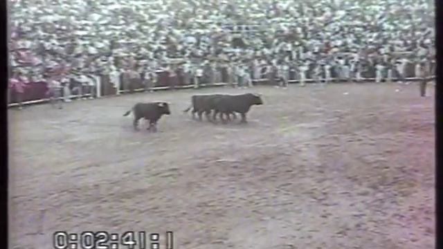 Encierro de San Sebastián de los Reyes del 25 de agosto de 1991 смотреть онлайн