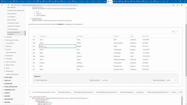 What's New in v19.1 - ASP.NET, MVC, and ASP.NET Core Controls смотреть онлайн