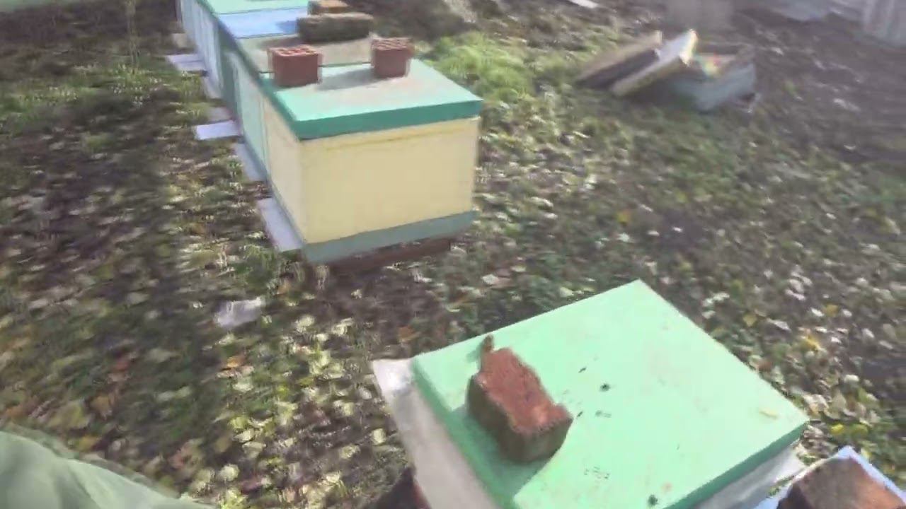 НЕ ВСЕ ТАК ПЛОХО смотреть онлайн