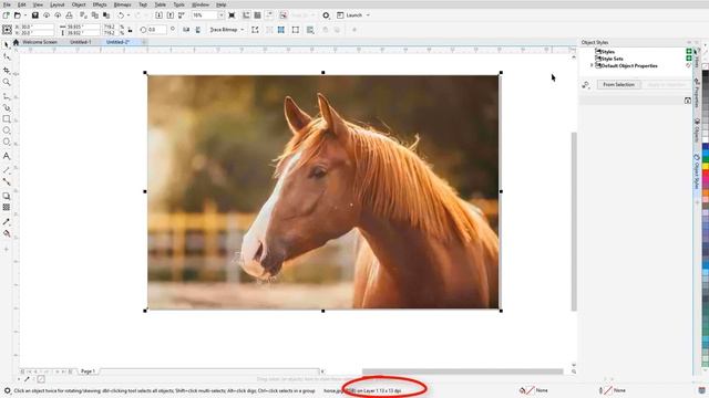 Improve the Size and Quality of your Images | CorelDRAW for Windows смотреть онлайн