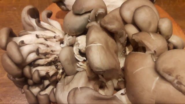 Бюджетный обед и айва смотреть онлайн