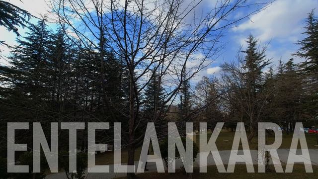 Melis Kızılaslan смотреть онлайн
