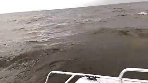 Вятбот 460р устойчивость