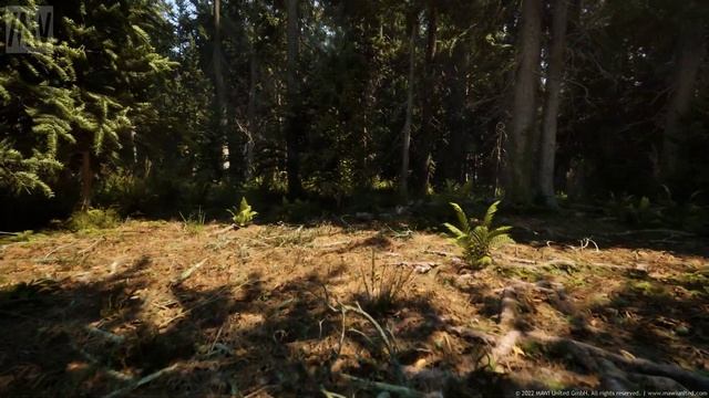 MAWI Conifer Forest | Unreal Engine 5 | Roaming The Forest Daytime #unrealengine #UE5 #gamedev смотреть онлайн