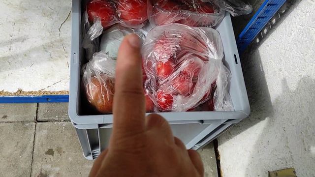 ГЕРМАНИЯ/ПЕРЕСЕЛЕНЦЫ ИЗ УКРАИНЫ/ВРЕМЯ ПРОХОДИТ-ЗАДОР МОЙ УХОДИТ смотреть онлайн