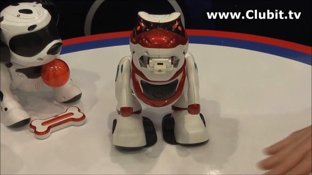 Teksta T-Rex Dinosaur Interactive Robotic Toy смотреть онлайн