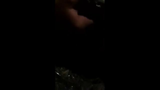 Сазан осенью. смотреть онлайн