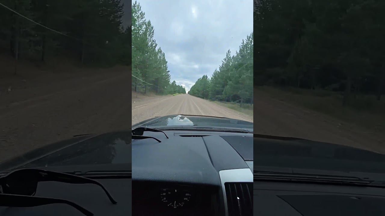 #crazyinstructor смотреть онлайн