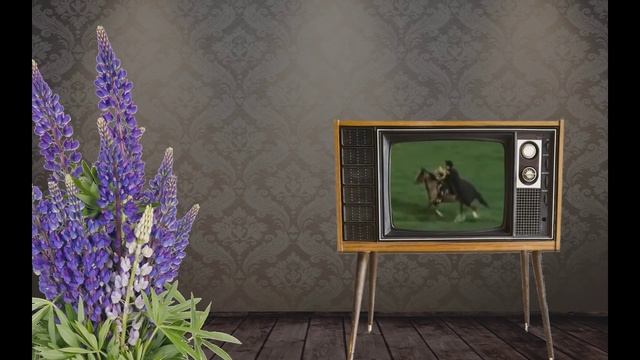 Didactic Do's & Don'ts (and Homage to Monty Python) смотреть онлайн