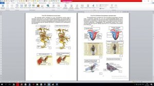 Как уменьшить объем документа Ворд – 3 легких способа сжать Word файл