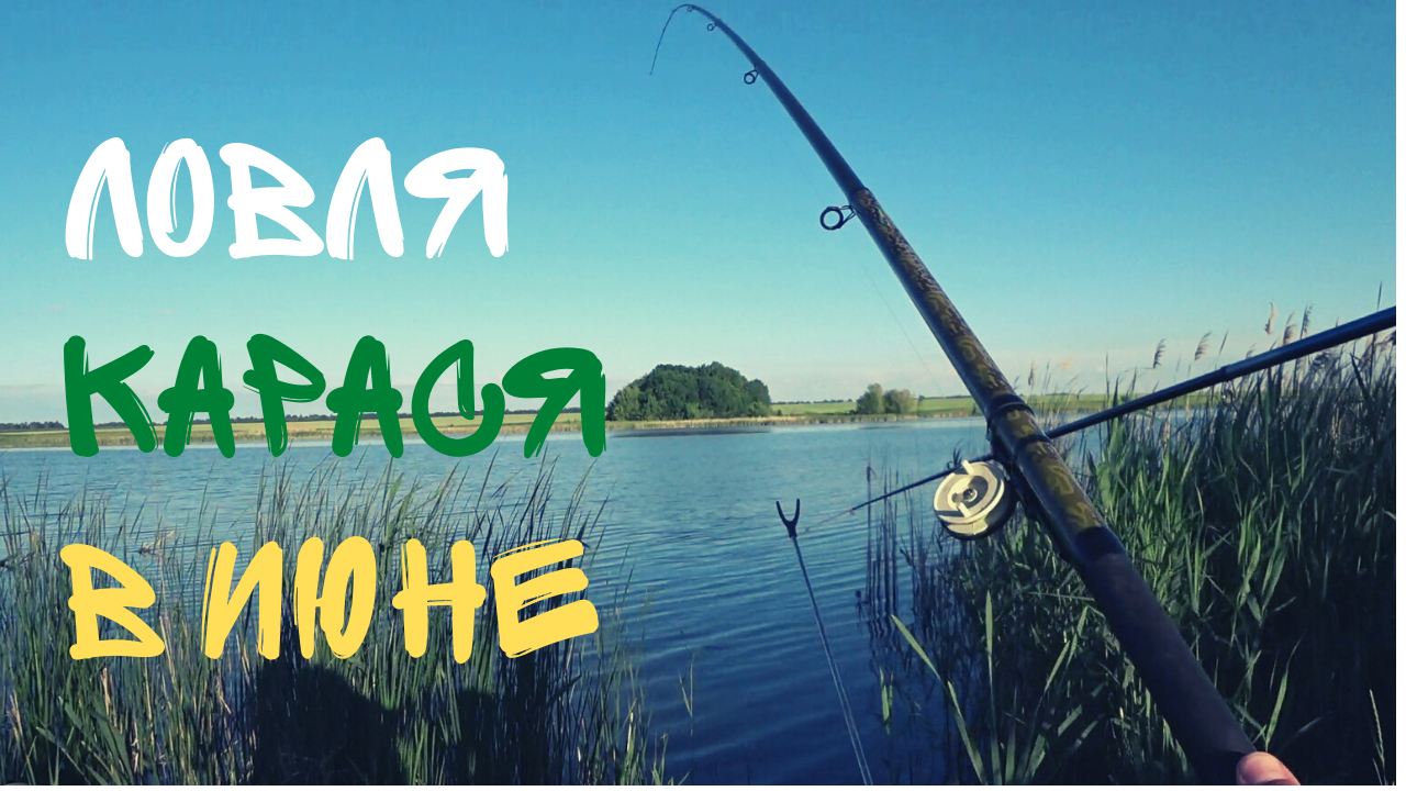 ВЫТАЩИЛ КЛЕЩА ИЗ ШЕИ СЫНА! РЫБАЛКА НА КАРАСЯ смотреть онлайн