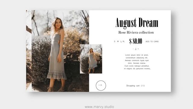 Fashion Website Transition Effect 3