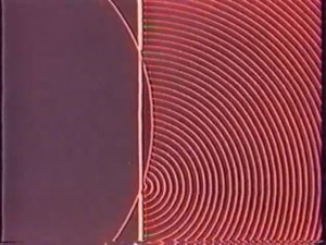 Физика. Оптика. Дифракция света