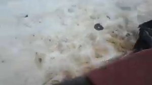 замена гусеницы