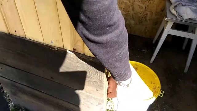 Построили курятник своими руками. Обзор. Размеры смотреть онлайн