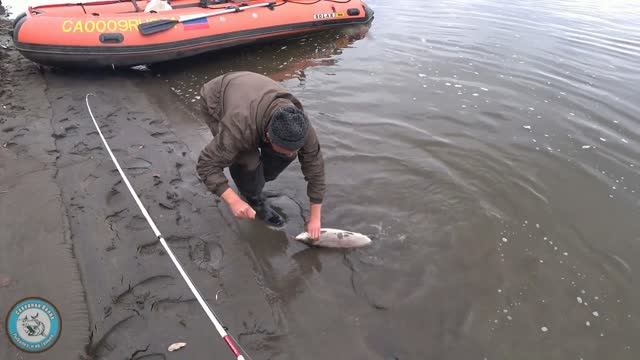 ТАЕЖНАЯ речка. Большой ЛЕНОК на УЛЬТРАЛАЙТ. Жарим рыбьи потроха. Ловля хариуса на блесну. смотреть онлайн