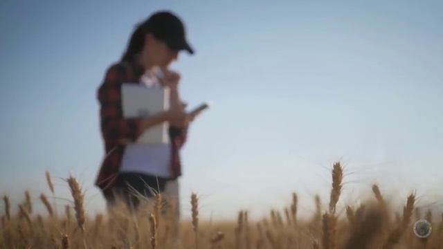 Top 10 Best Places To Live In Texas - Job, Retire, & Family смотреть онлайн