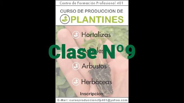 Curso producción de plantines-CFP 401- Quequèn- Clase 9- Ultima Clase смотреть онлайн