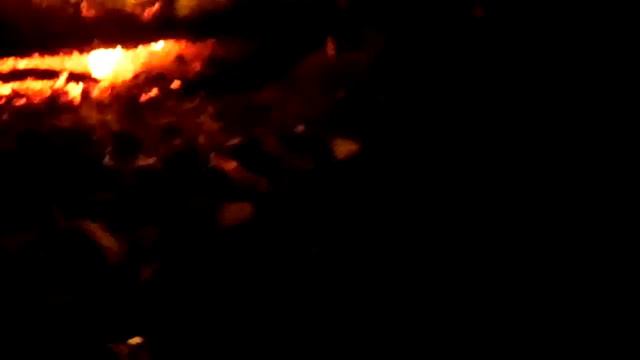 Ночью в лес попить пивка пожарить сосисок смотреть онлайн