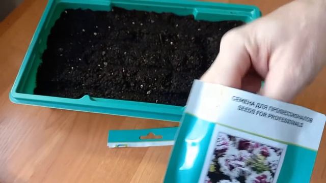 Как посеять махровую петунию смотреть онлайн