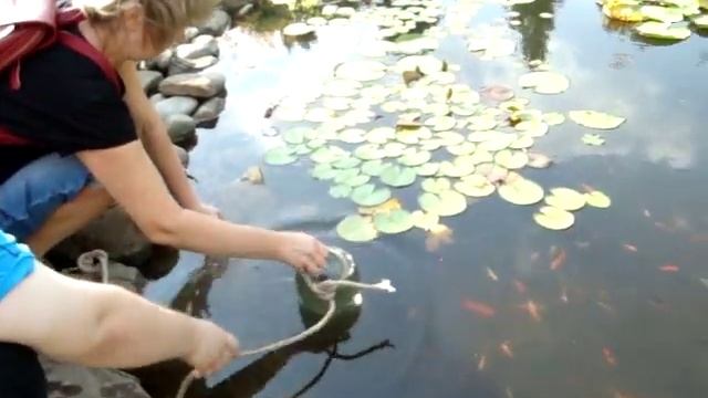 Как поймать рыбу в пруду: для пруда и аквариума смотреть онлайн