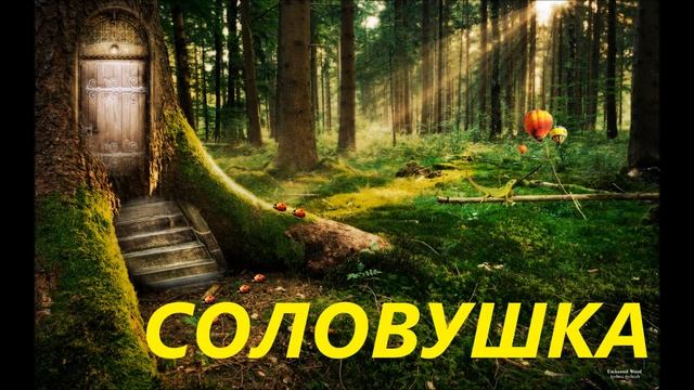Пение Соловья в Лесу / Summer Forest Nightingale Singing смотреть онлайн