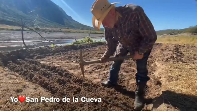 El Pinto Sembrando Ajo