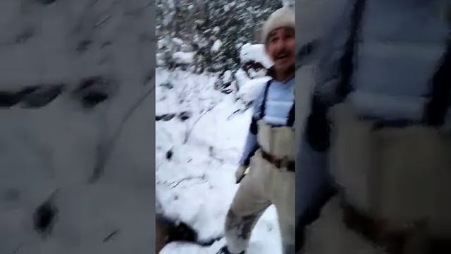 трофейный изюбрь смотреть онлайн