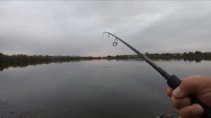 Ловля щуки на крупные воблеры с берега