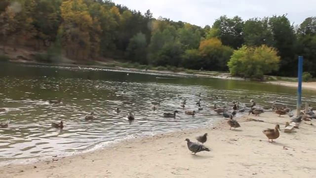 MVI 3995 казань озеро в дербышках смотреть онлайн